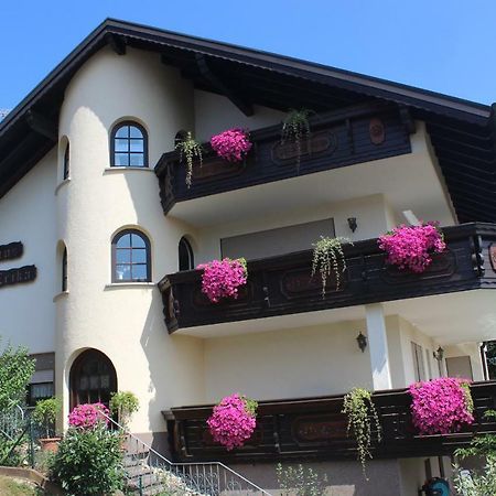Pension Haus Erika Stadtprozelten Kültér fotó