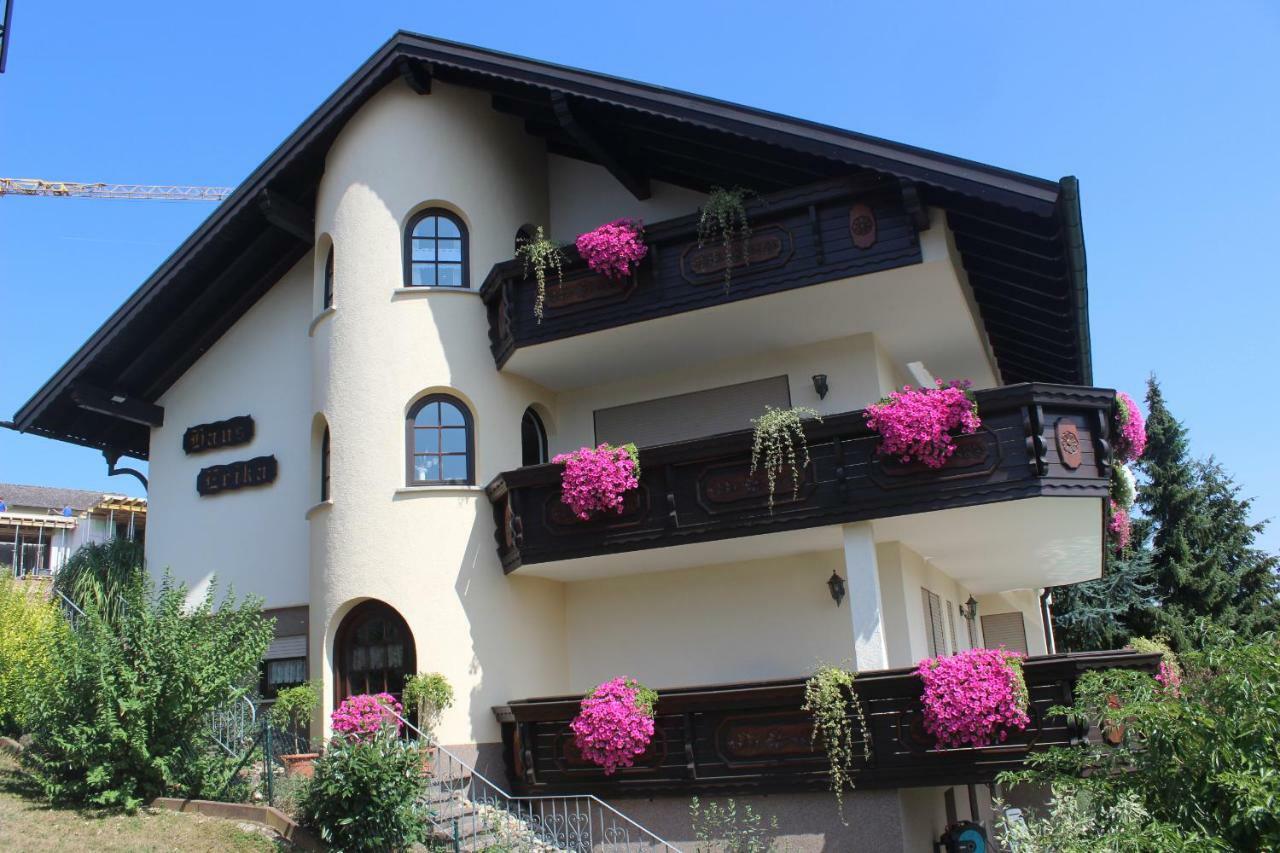 Pension Haus Erika Stadtprozelten Kültér fotó